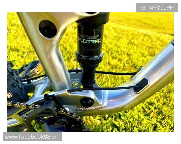 骑行新时尚:探索自行车的多元功能与环保未来 骑行新时尚:探索自行车的多元功能与环保未来