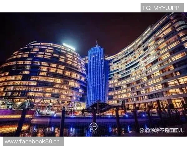 北京飞盘队运营分析:成功经验与面临挑战的深度探讨 北京飞盘队运营分析:成功经验与面临挑战的深度探讨