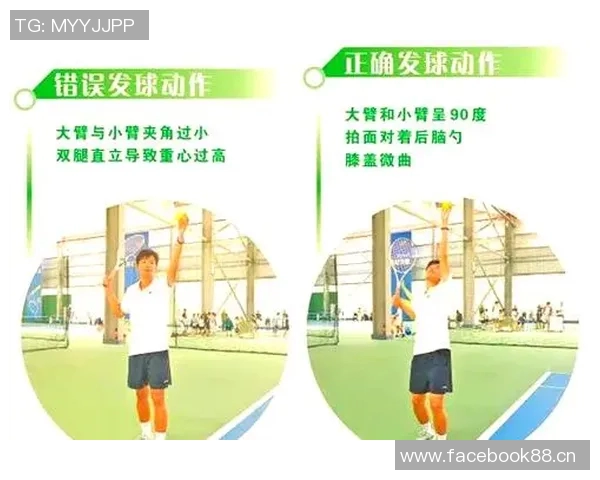 网球新手必看:从零基础到实力提升的全面入门指南 网球新手必看:从零基础到实力提升的全面入门指南