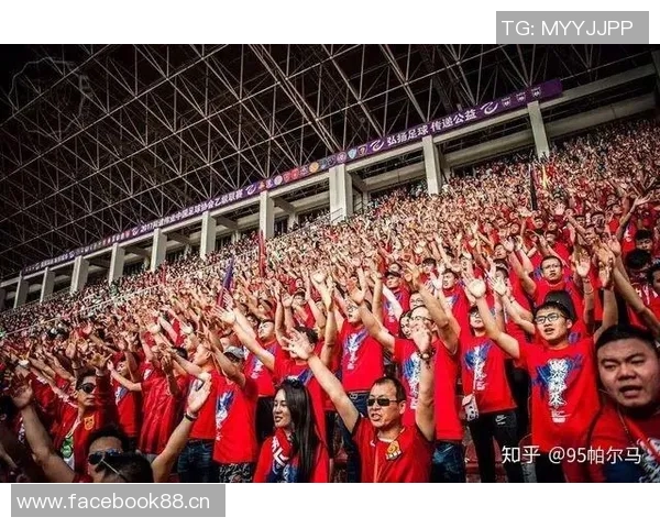 成都足球队灵活性引发热议球迷观点各异争论不断