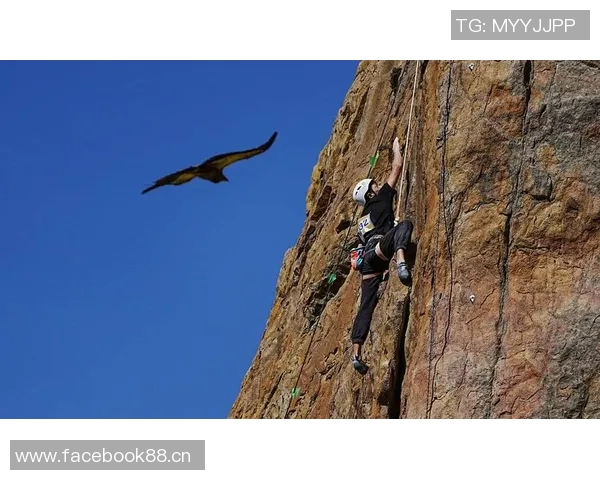 深圳攀岩队领跑最新攀岩速度TOP10榜单引发关注与热议