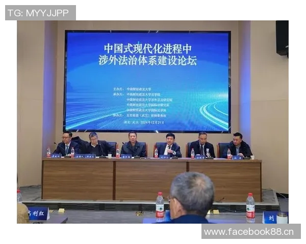 以法治为核心推动社会和谐发展强化法治建设保障人民权益的路径探讨